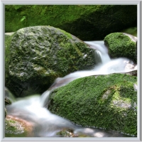 Pictures 1000W / 60cm x 60cm