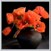 Pictures 1000W / 60cm x 60cm